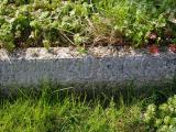 image of grave number 829482